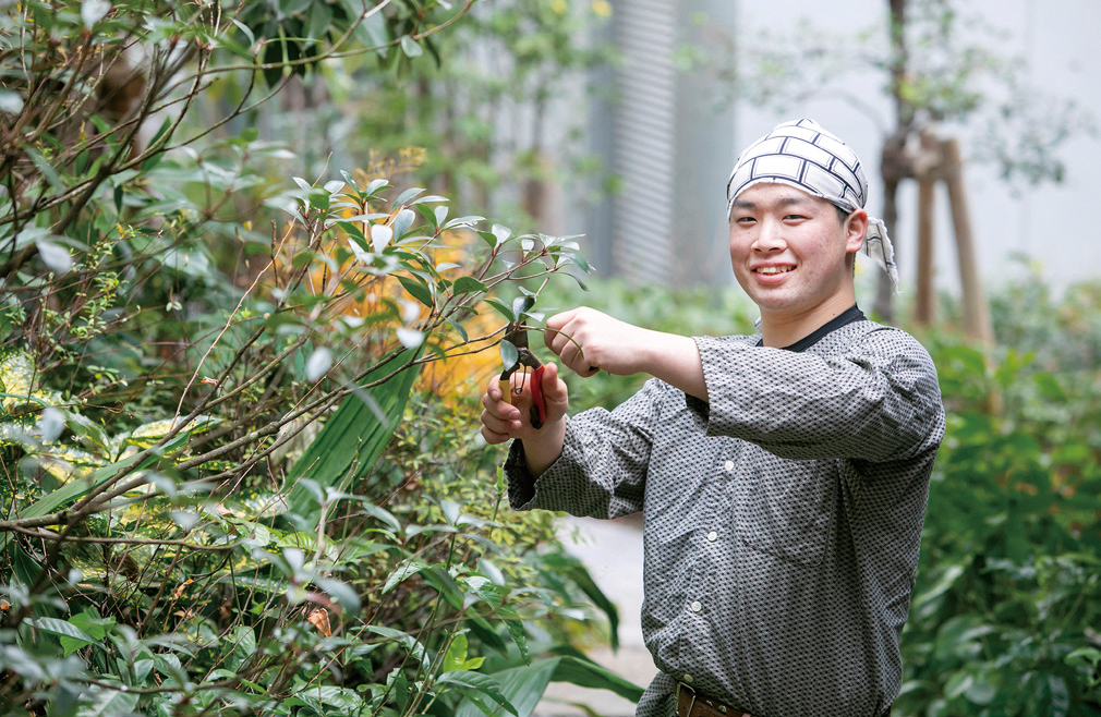 造園デザイン科 2年制 中央工学校 造園デザイン科 2年制 中央工学校